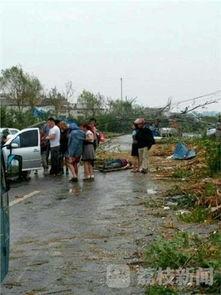 冰雹新闻爆料,多地农作物受损，紧急救援行动展开